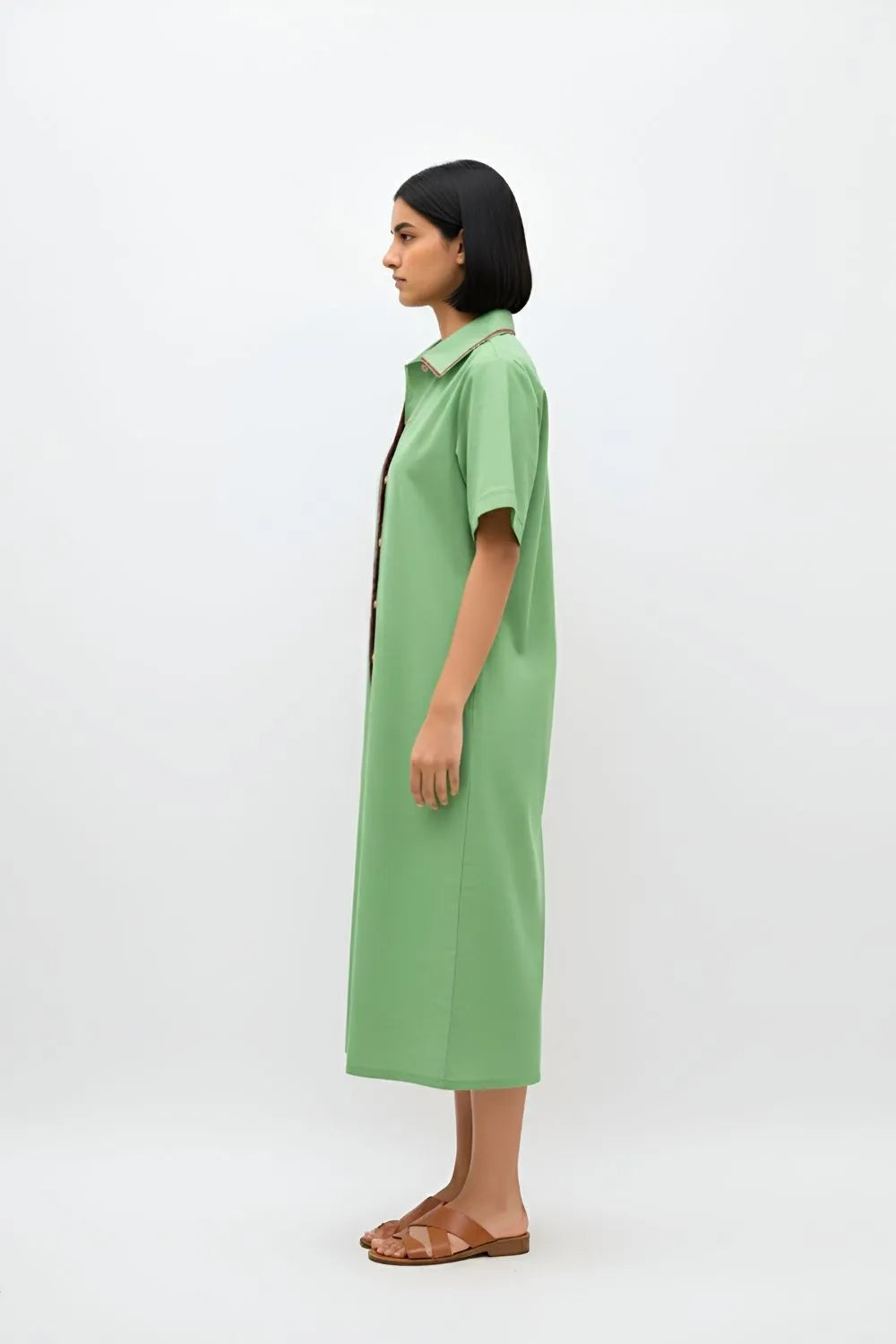 Asparagus Green-Tuscan Red Shirt Dress