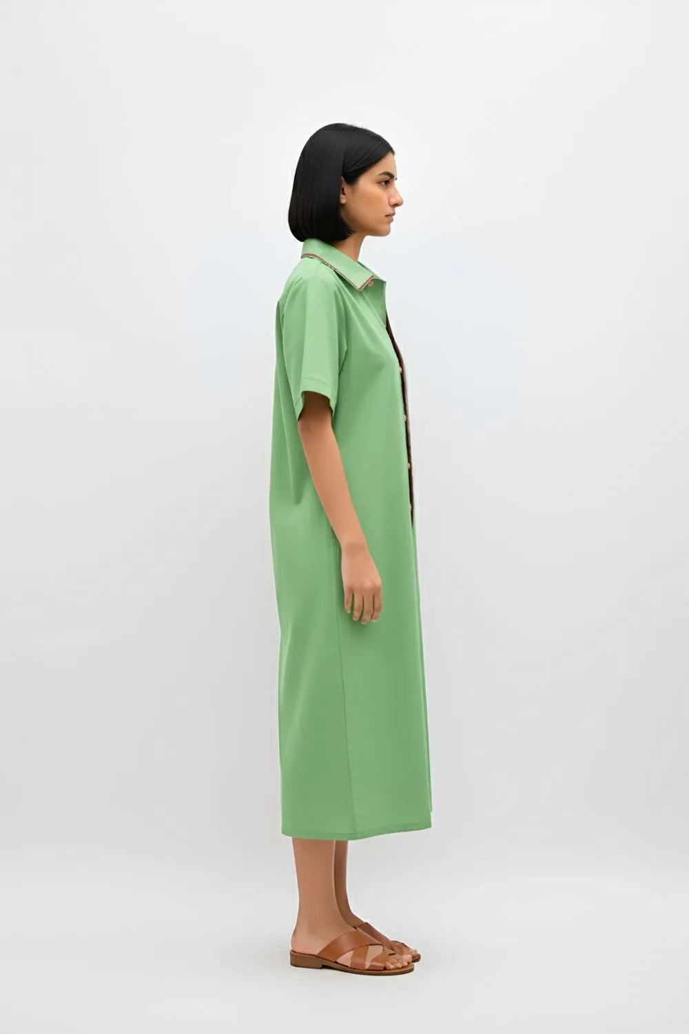 Asparagus Green-Tuscan Red Shirt Dress